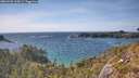 ./images/calvert/foggy-cove/20260520/foggy-cove20260520_165001M.jpg