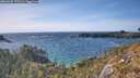 ./images/calvert/foggy-cove/20260520/foggy-cove20260520_170501M.jpg