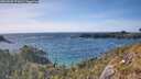 ./images/calvert/foggy-cove/20260520/foggy-cove20260520_171001M.jpg