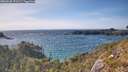 ./images/calvert/foggy-cove/20260520/foggy-cove20260520_171501M.jpg