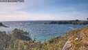 ./images/calvert/foggy-cove/20260520/foggy-cove20260520_172001M.jpg