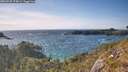 ./images/calvert/foggy-cove/20260520/foggy-cove20260520_174001M.jpg