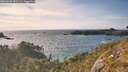 ./images/calvert/foggy-cove/20260520/foggy-cove20260520_181501M.jpg