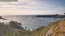./images/calvert/foggy-cove/20260520/foggy-cove20260520_182002M.jpg