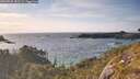 ./images/calvert/foggy-cove/20260520/foggy-cove20260520_182501M.jpg