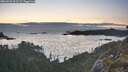 ./images/calvert/foggy-cove/20260520/foggy-cove20260520_213501M.jpg