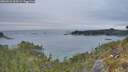 ./images/calvert/foggy-cove/20260521/foggy-cove20260521_060501M.jpg