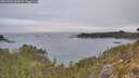 ./images/calvert/foggy-cove/20260521/foggy-cove20260521_062002M.jpg