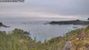 ./images/calvert/foggy-cove/20260521/foggy-cove20260521_063501M.jpg