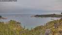./images/calvert/foggy-cove/20260521/foggy-cove20260521_065501M.jpg