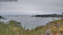 ./images/calvert/foggy-cove/20260521/foggy-cove20260521_071502M.jpg