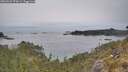 ./images/calvert/foggy-cove/20260521/foggy-cove20260521_072001M.jpg