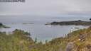 ./images/calvert/foggy-cove/20260521/foggy-cove20260521_074001M.jpg