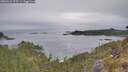 ./images/calvert/foggy-cove/20260521/foggy-cove20260521_075501M.jpg