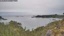 ./images/calvert/foggy-cove/20260521/foggy-cove20260521_081001M.jpg
