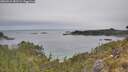 ./images/calvert/foggy-cove/20260521/foggy-cove20260521_081501M.jpg