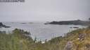 ./images/calvert/foggy-cove/20260521/foggy-cove20260521_083002M.jpg