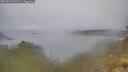 ./images/calvert/foggy-cove/20260521/foggy-cove20260521_083501M.jpg