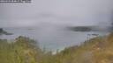 ./images/calvert/foggy-cove/20260521/foggy-cove20260521_084002M.jpg
