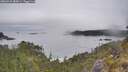 ./images/calvert/foggy-cove/20260521/foggy-cove20260521_085001M.jpg