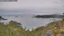 ./images/calvert/foggy-cove/20260521/foggy-cove20260521_085501M.jpg