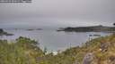 ./images/calvert/foggy-cove/20260521/foggy-cove20260521_090501M.jpg