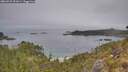 ./images/calvert/foggy-cove/20260521/foggy-cove20260521_091001M.jpg