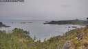 ./images/calvert/foggy-cove/20260521/foggy-cove20260521_091501M.jpg