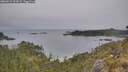 ./images/calvert/foggy-cove/20260521/foggy-cove20260521_092001M.jpg