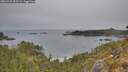 ./images/calvert/foggy-cove/20260521/foggy-cove20260521_092501M.jpg