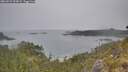 ./images/calvert/foggy-cove/20260521/foggy-cove20260521_093001M.jpg