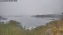 ./images/calvert/foggy-cove/20260521/foggy-cove20260521_093501M.jpg