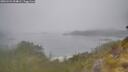 ./images/calvert/foggy-cove/20260521/foggy-cove20260521_094001M.jpg