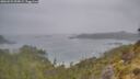 ./images/calvert/foggy-cove/20260521/foggy-cove20260521_095002M.jpg