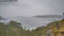 ./images/calvert/foggy-cove/20260521/foggy-cove20260521_095501M.jpg