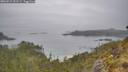 ./images/calvert/foggy-cove/20260521/foggy-cove20260521_101501M.jpg