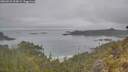 ./images/calvert/foggy-cove/20260521/foggy-cove20260521_102001M.jpg
