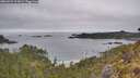 ./images/calvert/foggy-cove/20260521/foggy-cove20260521_103001M.jpg