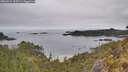 ./images/calvert/foggy-cove/20260521/foggy-cove20260521_103501M.jpg