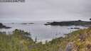 ./images/calvert/foggy-cove/20260521/foggy-cove20260521_104001M.jpg
