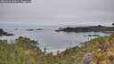 ./images/calvert/foggy-cove/20260521/foggy-cove20260521_104502M.jpg