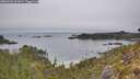 ./images/calvert/foggy-cove/20260521/foggy-cove20260521_105002M.jpg
