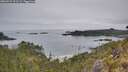 ./images/calvert/foggy-cove/20260521/foggy-cove20260521_111501M.jpg