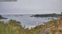 ./images/calvert/foggy-cove/20260521/foggy-cove20260521_112501M.jpg