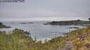 ./images/calvert/foggy-cove/20260521/foggy-cove20260521_113001M.jpg