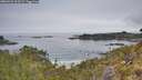 ./images/calvert/foggy-cove/20260521/foggy-cove20260521_113501M.jpg