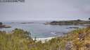 ./images/calvert/foggy-cove/20260521/foggy-cove20260521_114501M.jpg