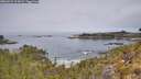 ./images/calvert/foggy-cove/20260521/foggy-cove20260521_115001M.jpg