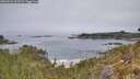 ./images/calvert/foggy-cove/20260521/foggy-cove20260521_115501M.jpg