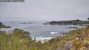 ./images/calvert/foggy-cove/20260521/foggy-cove20260521_120002M.jpg
